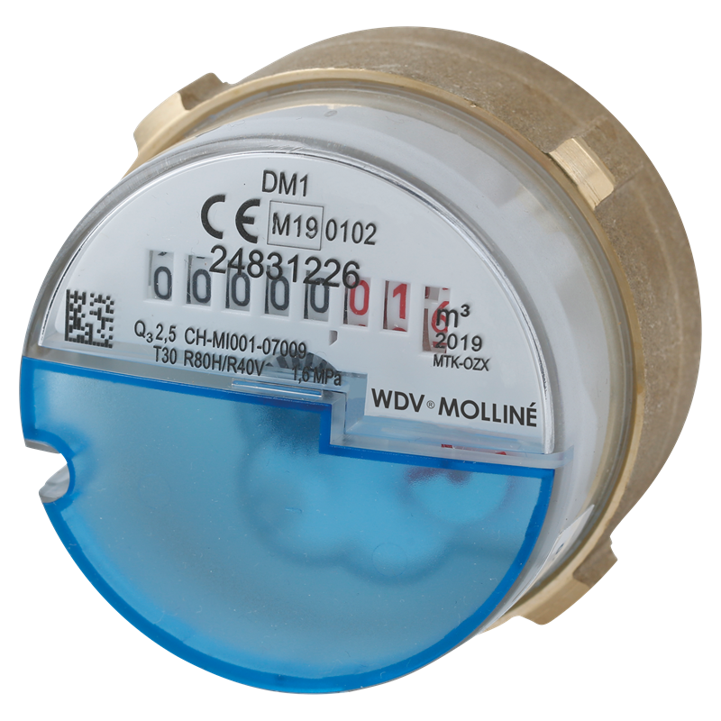 Ersatz für Deltamess DM1 UP-Wasserzähler