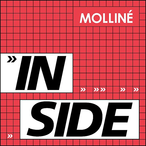 Molliné Inside  